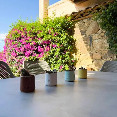 Hébergement de vacances Casa N 8 Li Menduli *